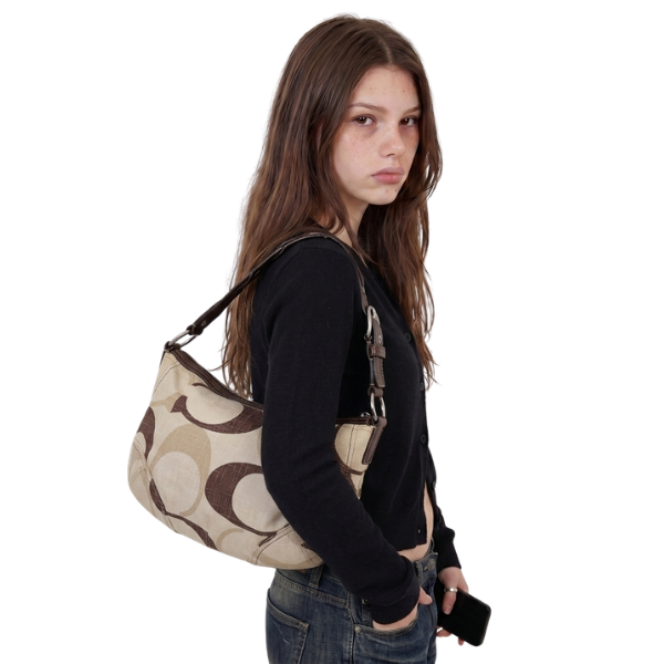 Coach Hampton Hobo Optic Signature Canvas Beige Braun – Vintage